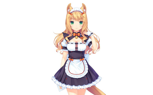 1007617 (a): :3680x2300
